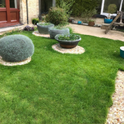 Techniques de taille pour maintenir un jardin esthétique et en bonne santé Chatenay-Malabry